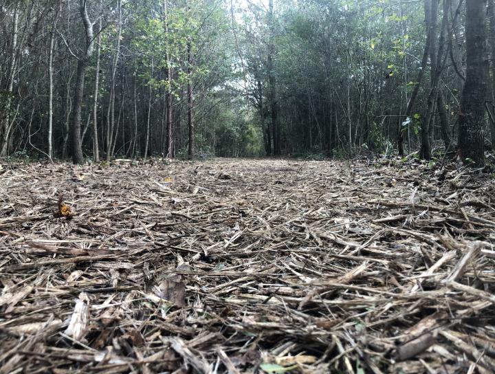 Forestry mulching South Carolina