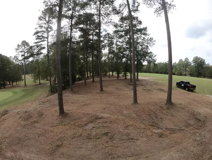 Brush Clearing